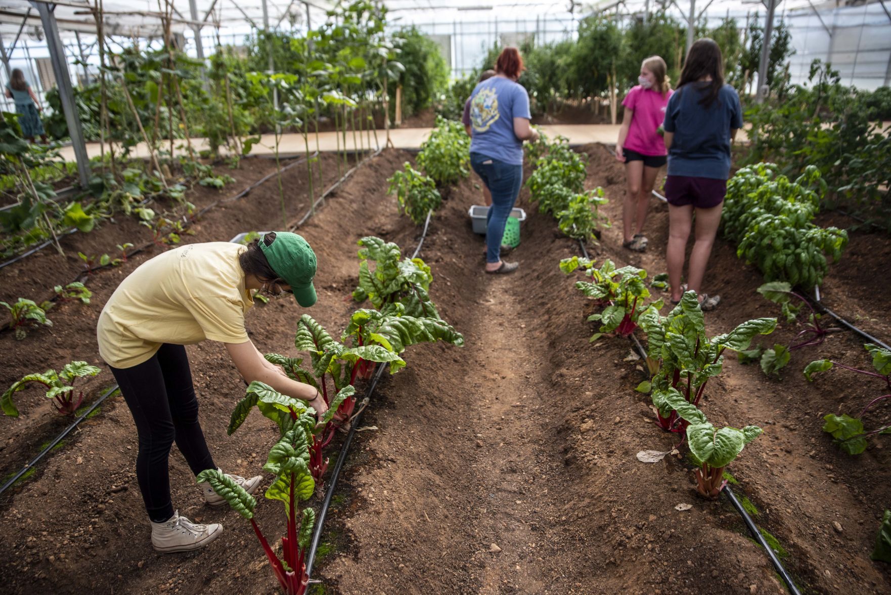 Sweet Briar College Greenhouse